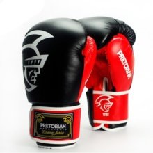 Training Boxing Gloves Pretorian Ikarus