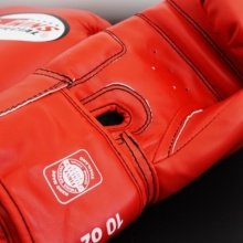 Boxing Gloves Twins Special Red